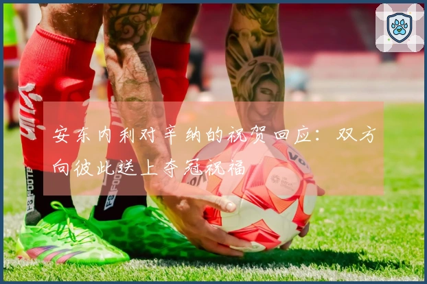 安东内利对辛纳的祝贺回应：双方向彼此送上夺冠祝福