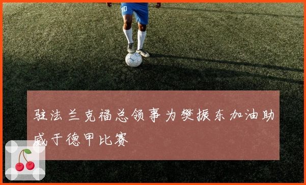 驻法兰克福总领事为樊振东加油助威于德甲比赛